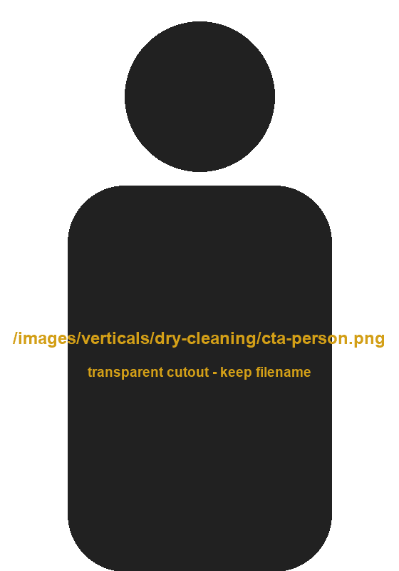 Dry Cleaning professional