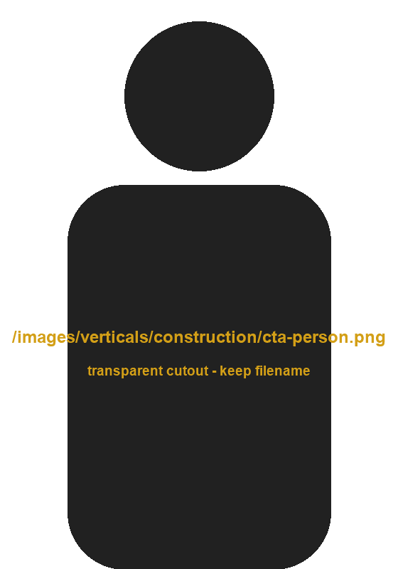 Construction professional
